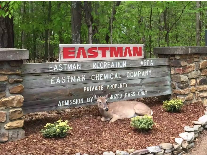 Eastman Recreation Area at Bays Mountain